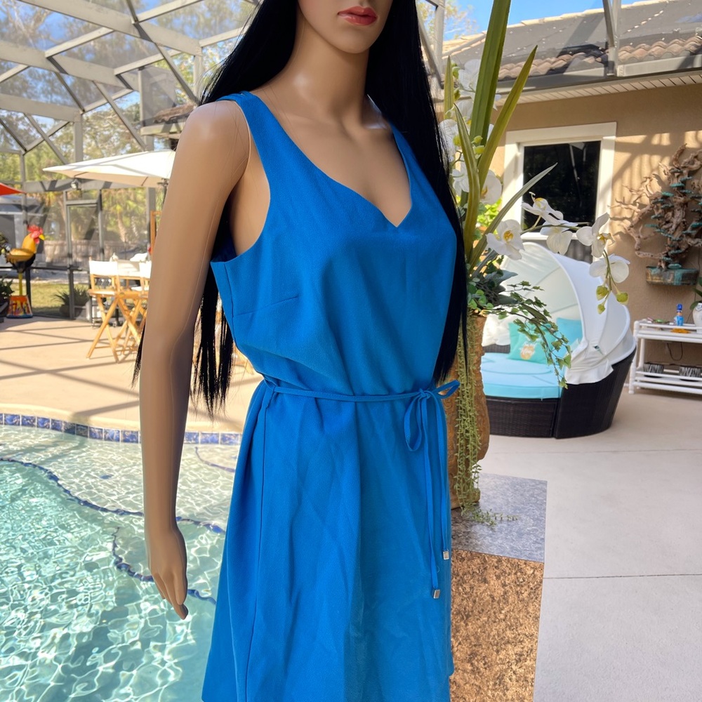 A blue Metaphor dress